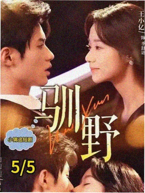 美剧镀金年代回声海报